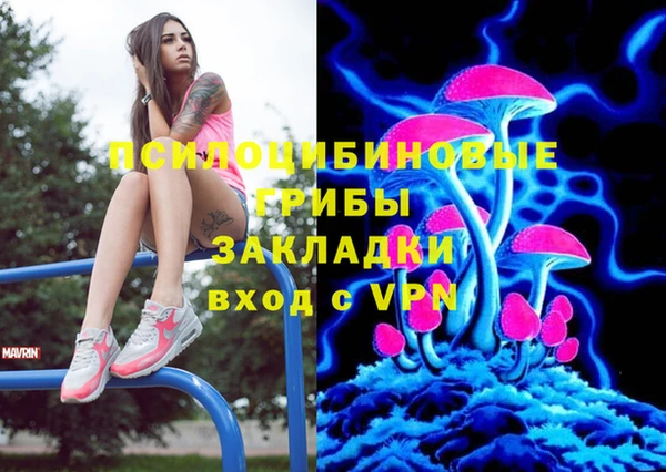 крисы Алексин