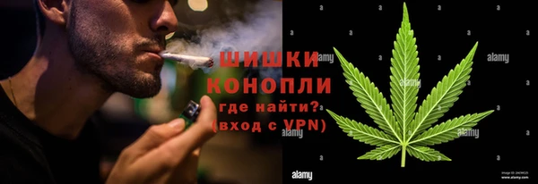 дживик Аркадак