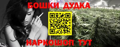 ALPHA PVP Заволжье