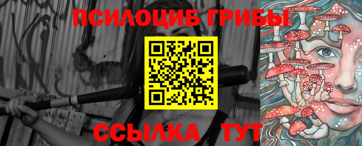 Галлюциногенные грибы Psilocybe Глазов